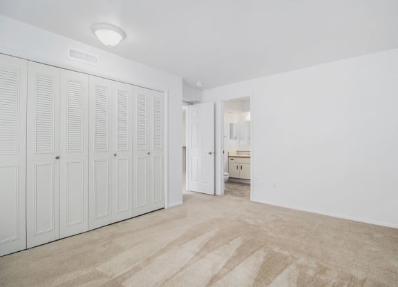 Large Closets at Hurwich Farms Apartments, South Bend
