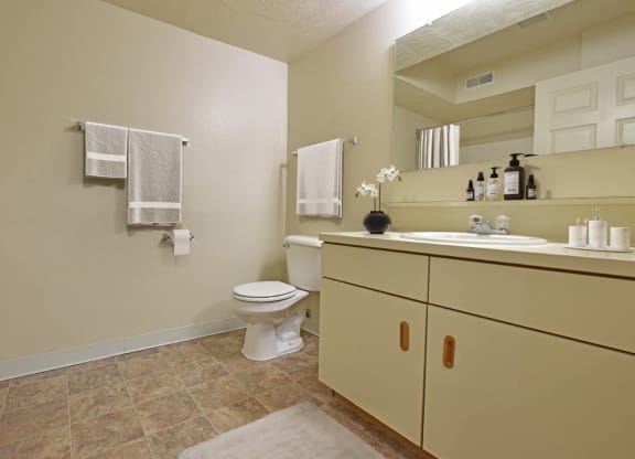 Bathroom at Heatherwood Apartments, Grand Blanc
