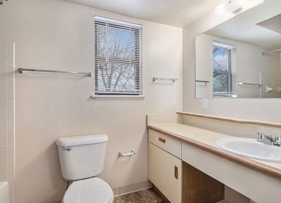 a bathroom with a window and a sink and a mirror at Indian Lakes Apartments, Mishawaka