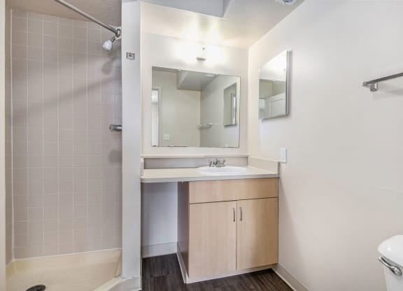 Second Bath with Walk-In Shower at Indian Lakes Apartments, Mishawaka