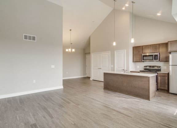 Large Living Area (Hickory) at Village Place Apartments, Romeoville, 60446