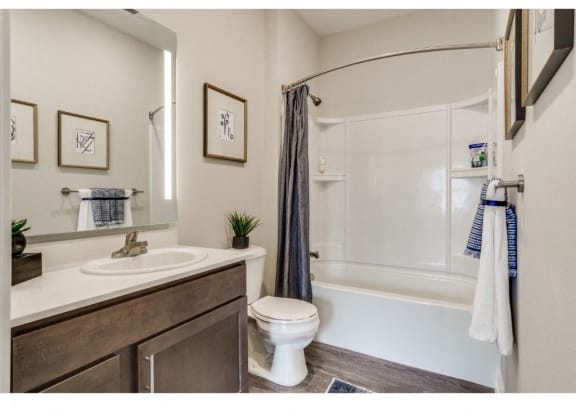 Cedar Apartment at Montgomery Place Apartments, Montgomery, 60538