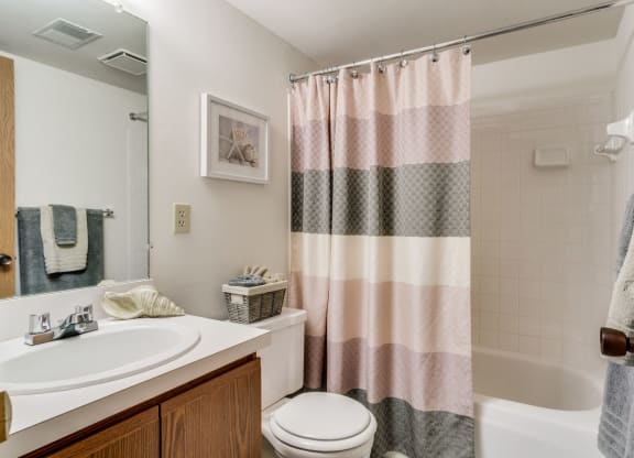 Bathroom at The Village Apartments in Wixom, Michigan