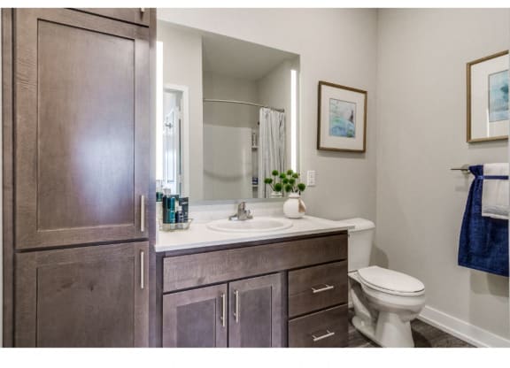 Cedar Apartment at Montgomery Place Apartments, Montgomery, Illinois
