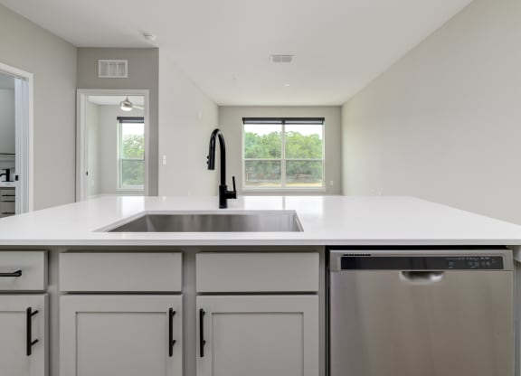 a large white kitchen with a stainless steel dishwasher and sink at Ironwood Flats in Brandon, Florida 33511