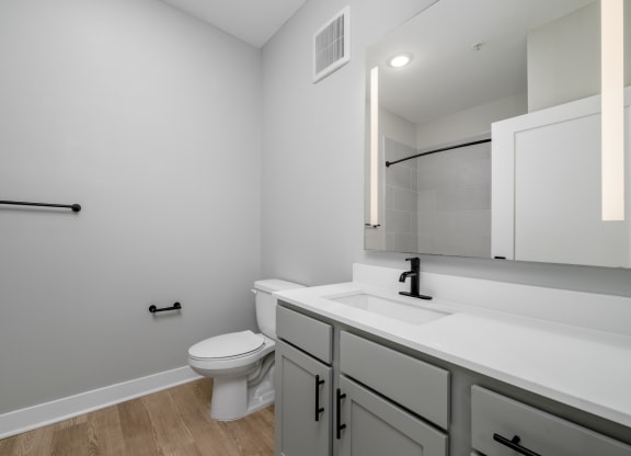 a bathroom with a toilet and a sink and a mirror at Ironwood Flats in Brandon, Florida