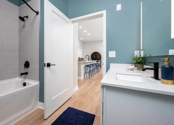 a bathroom with a bathtub and a sink  at Ironwood Flats, Brandon, 33511