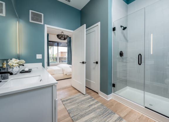 Bathroom at Ironwood Flats, Brandon