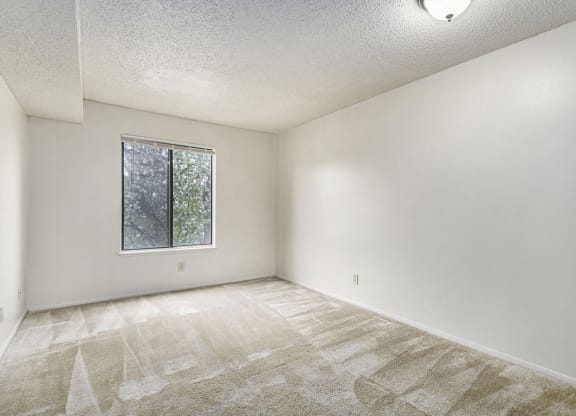 Spacious bedroom with a window at Madeira Apartments, Kalamazoo, 49001