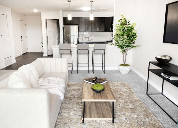Living Room Interior at Meadowbrooke Apartment Homes, Grand Rapids, Michigan