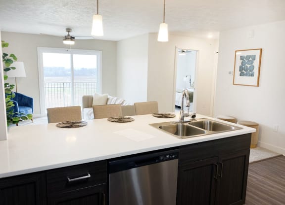 Kitchen View at Meadowbrooke Apartment Homes, Michigan