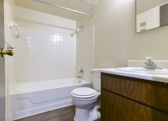 Well Appointed Master Bath at Old Monterey Apartments in Springfield, MO