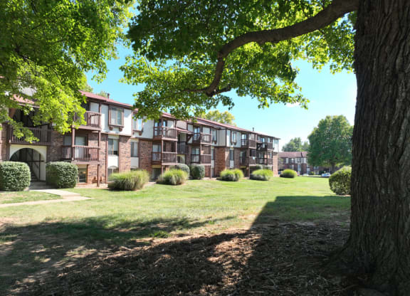 Mature Shade Trees at Old Monterey Apartments, Springfield, MO