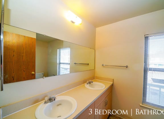 Dual Vanity Sinks at Mount Royal Townhomes, Michigan, 49009