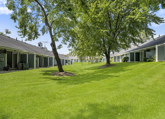 a green yard with mature shade trees at Newport Village Apartments, Portage, MI