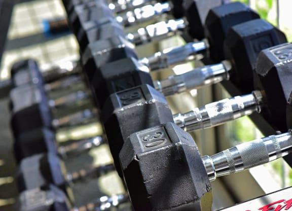 Free Weights at Northport Apartments, Macomb, 48044