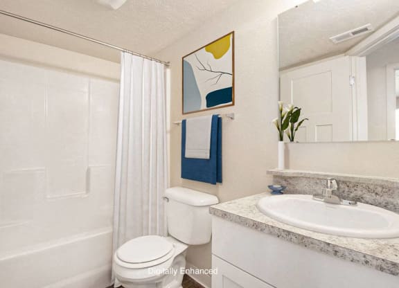 an upgraded bathroom with a sink toilet and a shower at Old Farm Apartments, Elkhart, Indiana