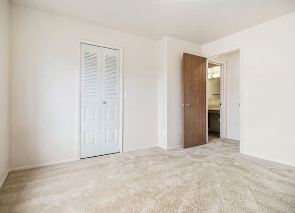 Bedroom with walk in closet at Pine Knoll Apartments, Battle Creek, MI