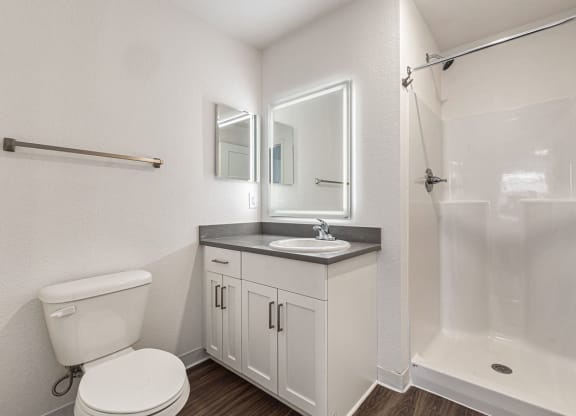 2nd bathroom with a walk in shower and wood floors  at Signature Pointe Apartment Homes, Athens, AL, 35611
