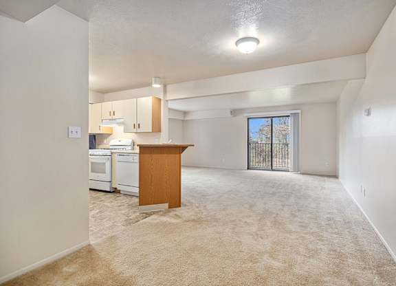 A kitchen area with a counter and cabinets is visible through a glass door.