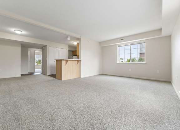 A large, empty living room with a carpeted floor and a window at Tall Oaks Apartment Homes, Michigan, 49009