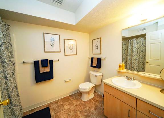 A bathroom with a toilet, sink, mirror, and vanity at Tall Oaks Apartment Homes, Michigan