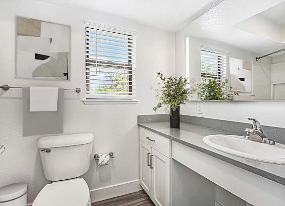 bathroom with a window at The Crossings Apartments, Michigan, 49508
