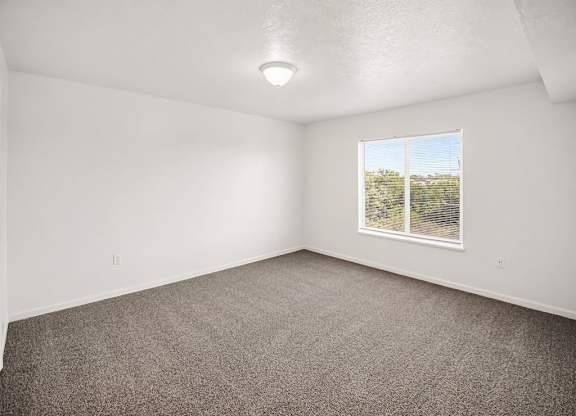 Empty bedroom with carpeted floor and a window showing a view of trees at Tracy Creek Apartments, Ohio