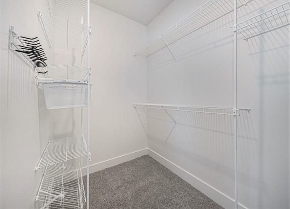 spacious closet in the bedroom at Trade Winds Apartment Homes, Elkhorn, NE
