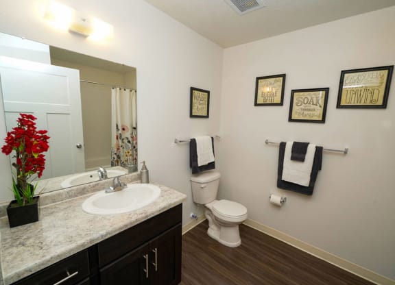 main bathroom with hard surface floors at Trade Winds Apartment Homes, Nebraska