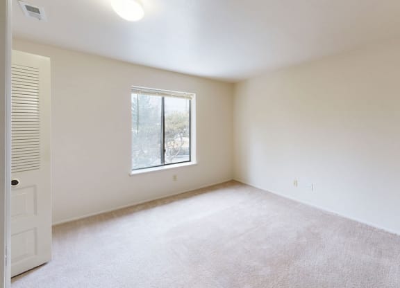 spacious bedroom with a large window and carpet at Trappers Cove Apartments, Michigan, 48910