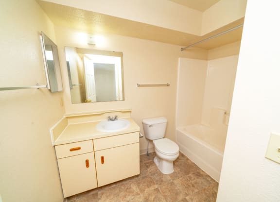 Main, Full Bathroom at Trillium Pointe Apartment Homes in Jackson, MI