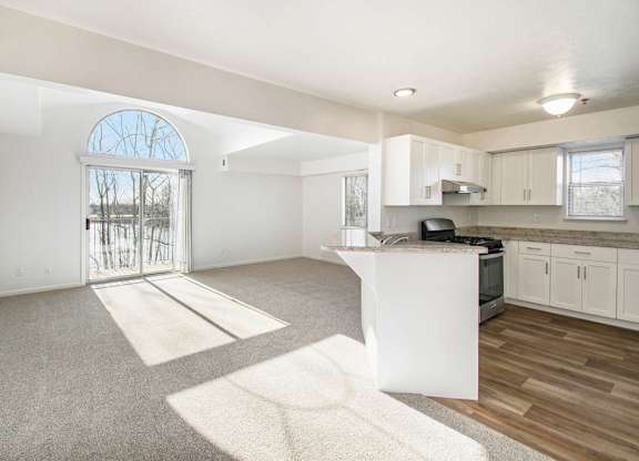 A sunny day in an enlarged living room with a cathedral ceiling at West Hampton Park Apartments in Elkhorn, NE 68022