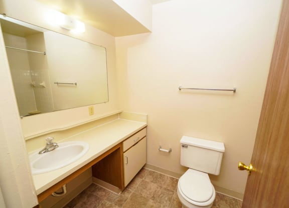a bathroom with a toilet and a sink and a mirror at Windmill Lakes Apartments, Holland, 49424