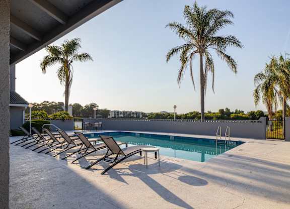 A pool surrounded by palm trees and lounge chairs.