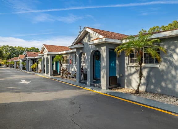 a row of houses with blue doors and a palm tree on a street