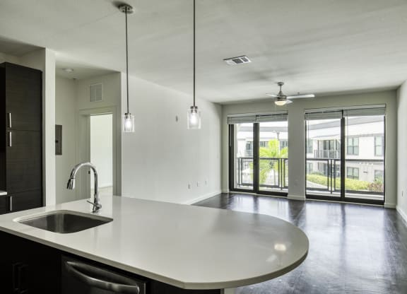 Modern Kitchen