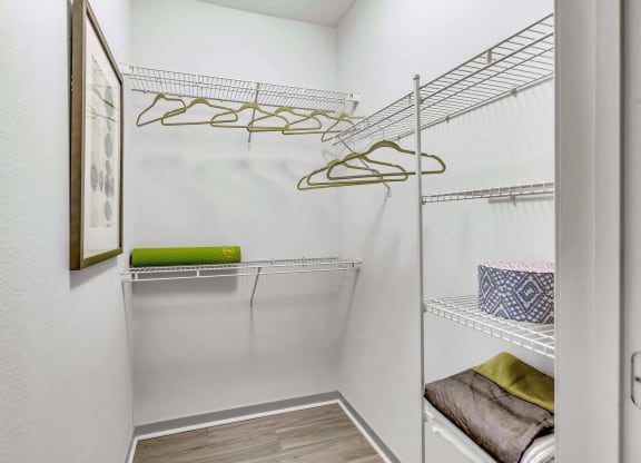 spacious closet with white walls and shelves and a glass door at Pearce at Pavilion Luxury Apartments, Florida