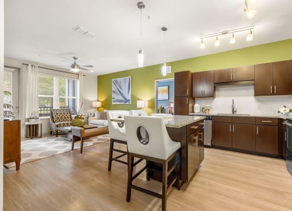 the preserve at ballantyne commons apartment kitchen and living room at Pearce at Pavilion Luxury Apartments, Riverview, FL, Florida