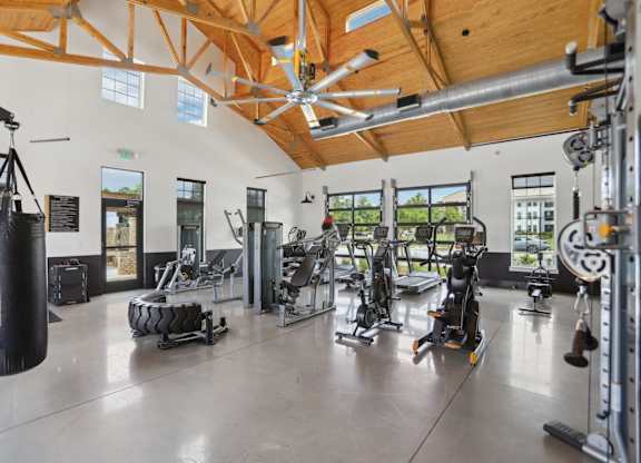 A gym with a variety of equipment including a punching bag, treadmills, and weights.