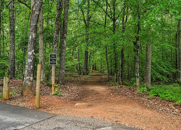 Trail in wooded area.