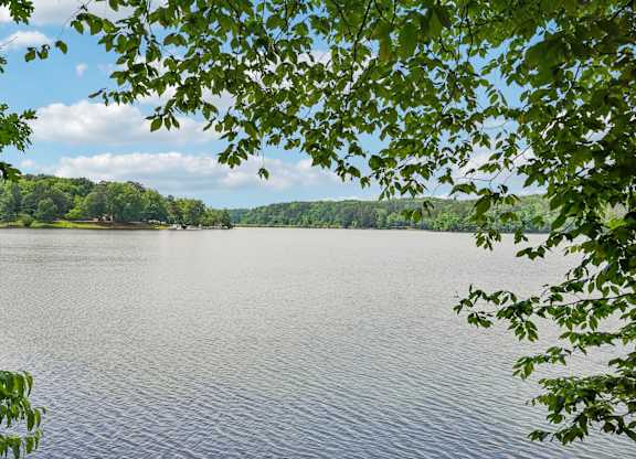 Sweetwater Creek Park