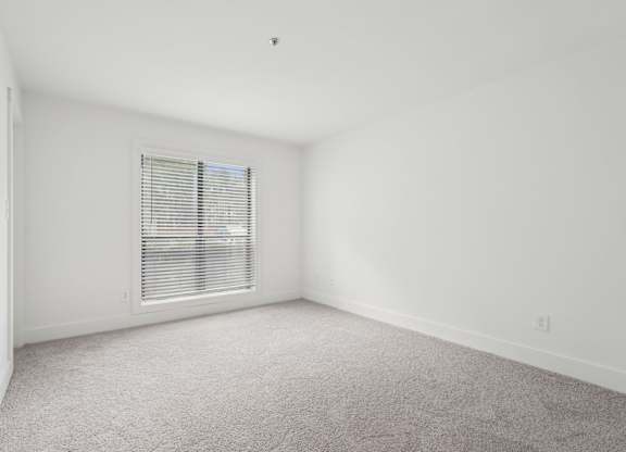 A large bedroom with a carpeted floor and a window