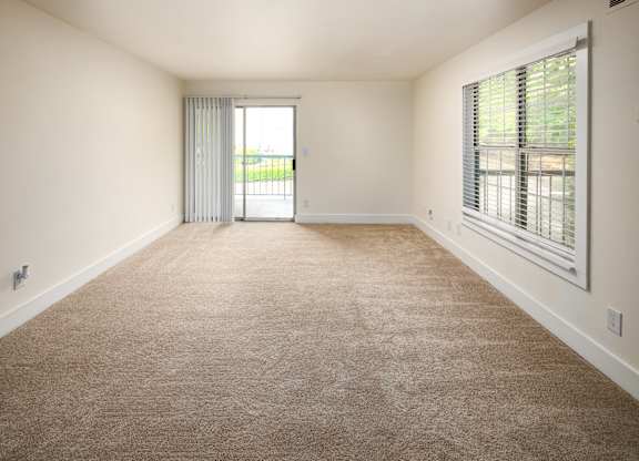 A room with a carpeted floor and a sliding glass door.