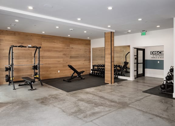 A gym with a variety of equipment including weights, including dumbbells, squat rack, kettlebells,  smith machine, SKI machine, and a bench.