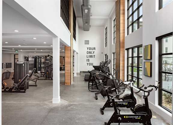 a gym with excess space, a great view, and any equipment you can think of