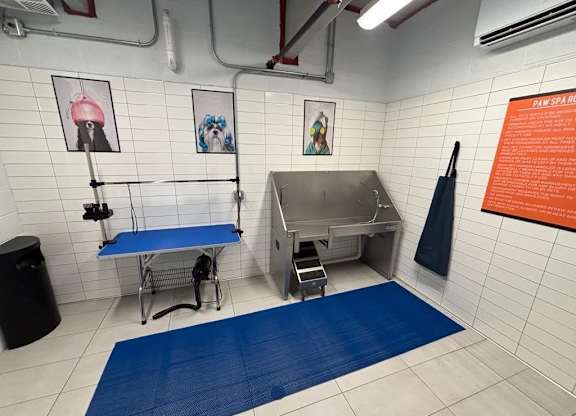 A pet spa washing, drying and styling stations
