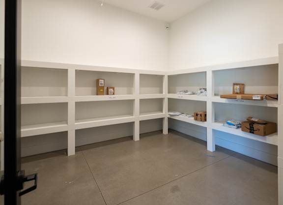Secure surveilled package room