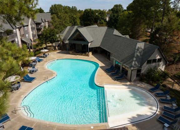 Lagoon Style Pool