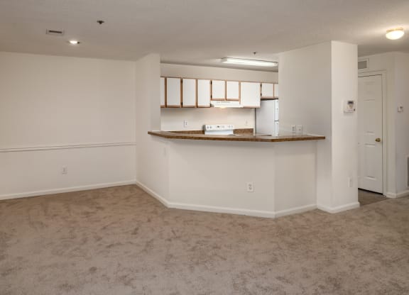 Kitchen with Breakfast Bar